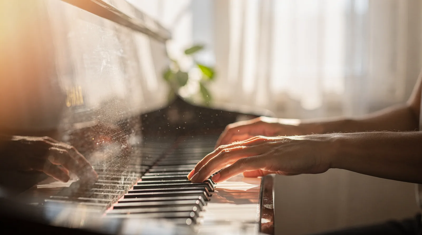 Hands on piano keys in a sunlit room
